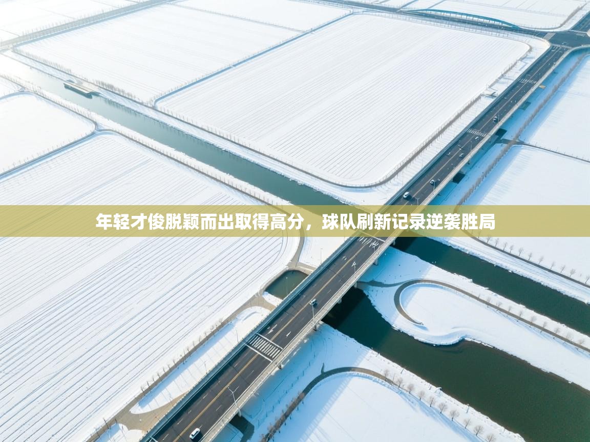 年轻才俊脱颖而出取得高分，球队刷新记录逆袭胜局