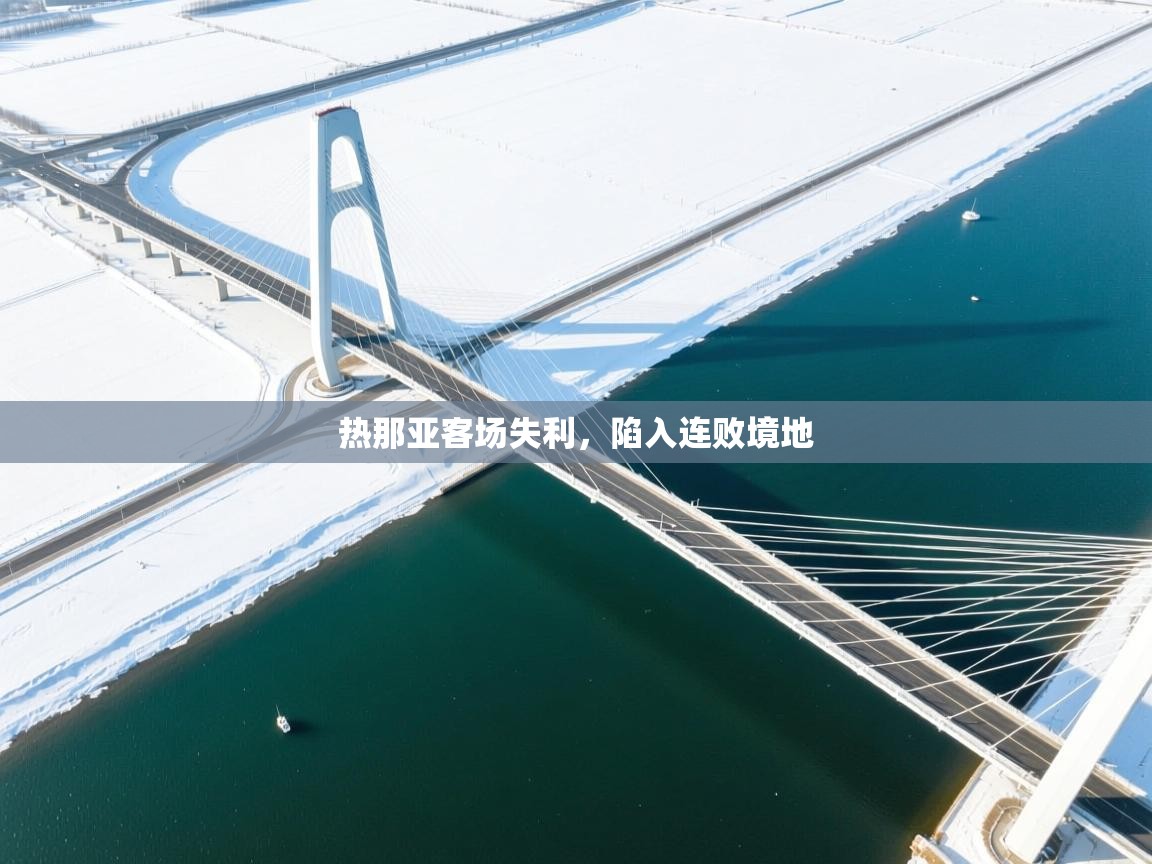 热那亚客场失利,陷入连败境地 第1张