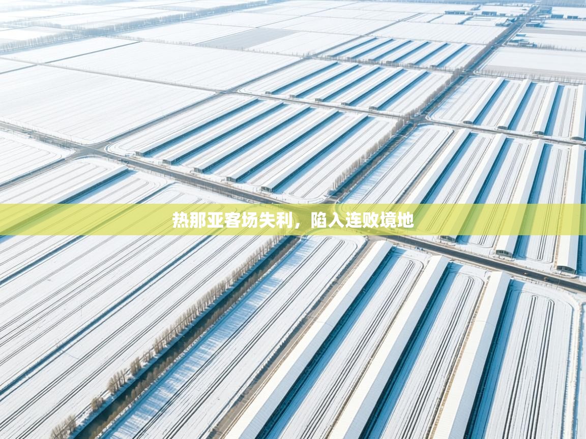 热那亚客场失利,陷入连败境地 第2张