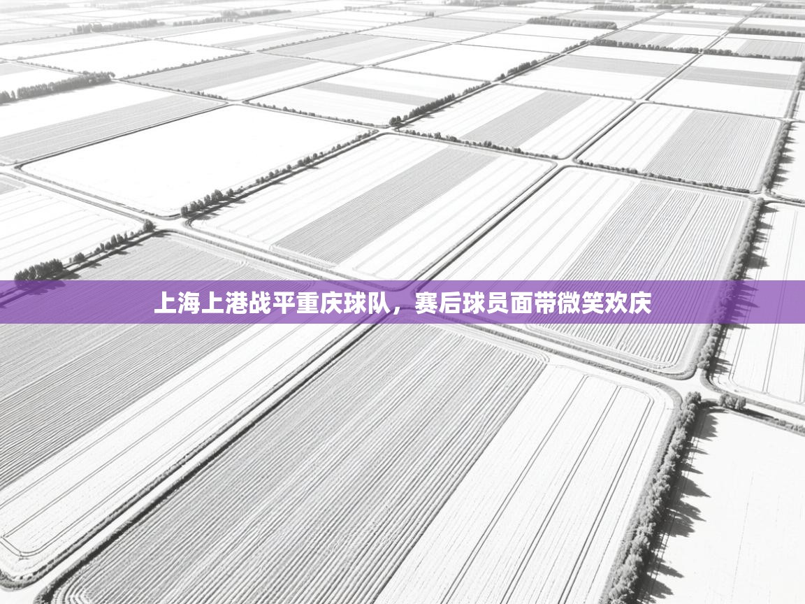 上海上港战平重庆球队，赛后球员面带微笑欢庆  第1张